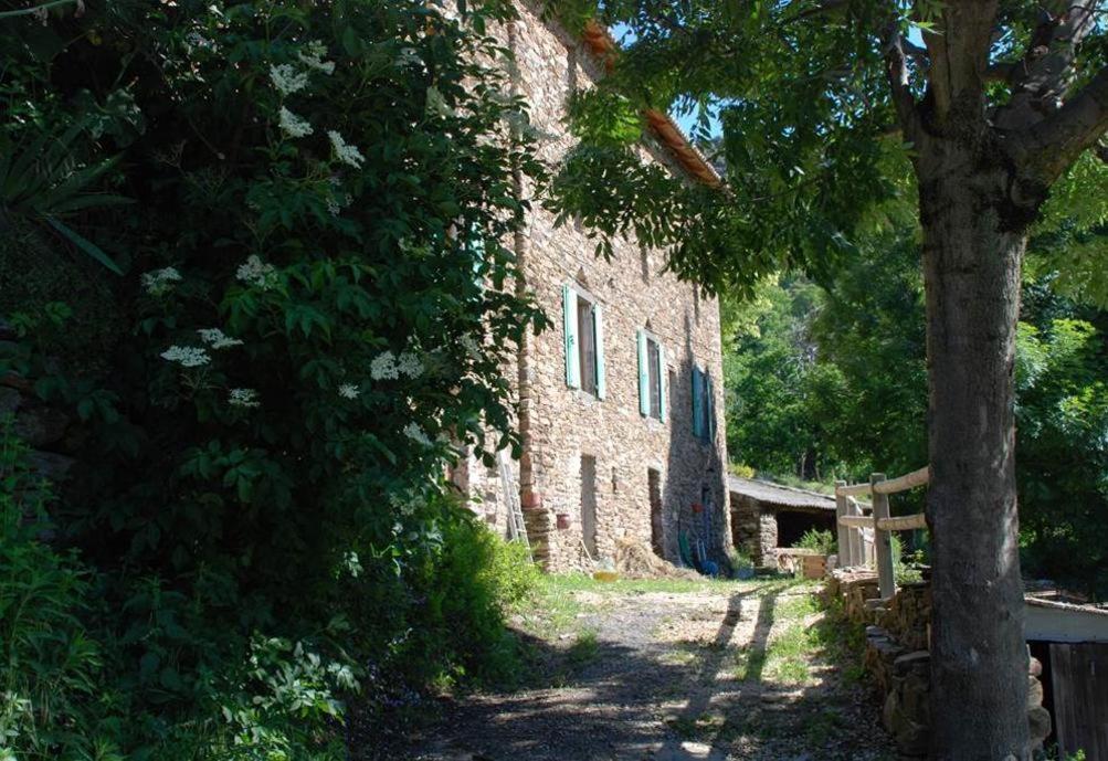 Gite De Fontfouillouse Les Plantiers Bagian luar foto
